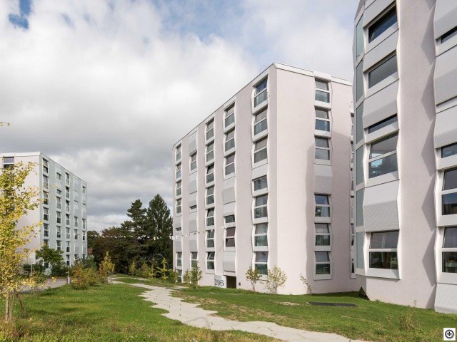 HR8_3478.jpg HR8_3478.jpg